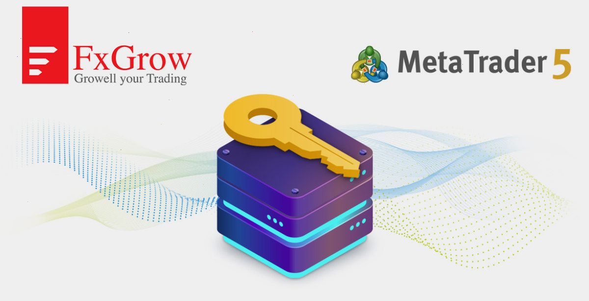 MT5_MetaTrader5_官方客户端入口：FxGrow Limited：\"MetaTrader 5访问服务器主机服务拥有其他提供商无法比拟的优势\"（封面配图）